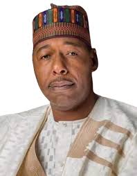Unlawful cutting of trees in Borno will fetch you three years in prison – Gov