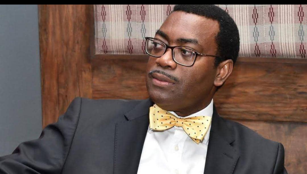 Akinwumi Adesina now speaks like politician