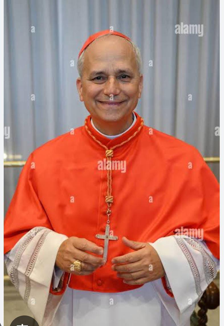 Meet the new Pope, Pope Leo XIV, 69
