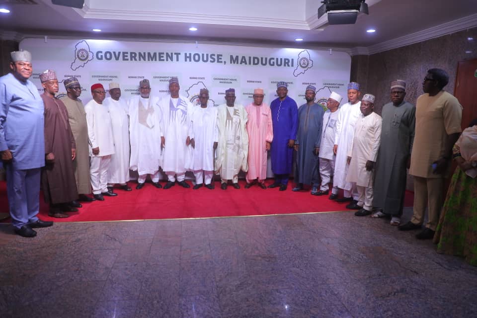 We want projects with lasting benefits, Zulum tells NEDC