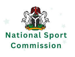 NSF: We’ve sold thousands of pieces of adire fabrics since the festival began – DG