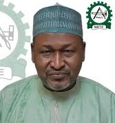 How female medical doctor abandoned certificate for carpentry – Bugaje