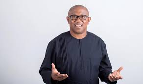 PDP begs Peter Obi, others to return to party