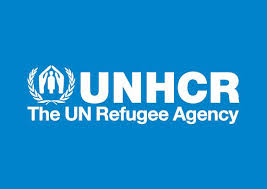 One million refugees get entry permits to 38 countries — Report