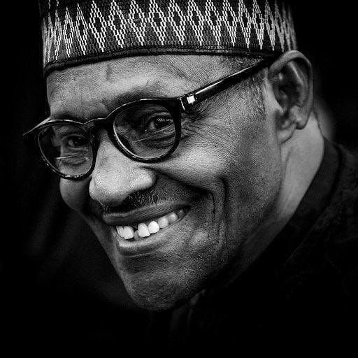 Tinubu renames University of Maiduguri after Buhari