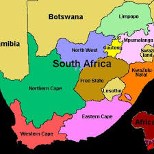 Killing of Nigerians in South Africa is barbaric, NICASA fumes