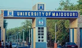 Critique of Renaming University of Maiduguri to “Muhammadu Buhari University”