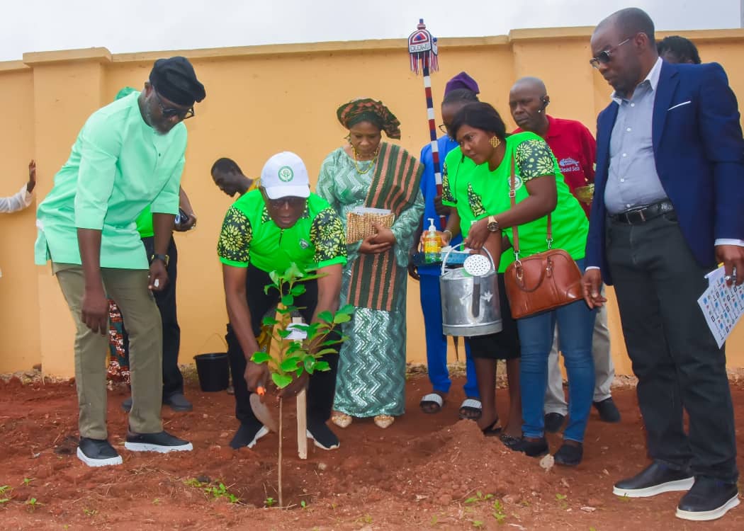Ogun to plant 1million trees this year