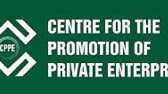 CPPE calls for phased approach to shea nut export ban