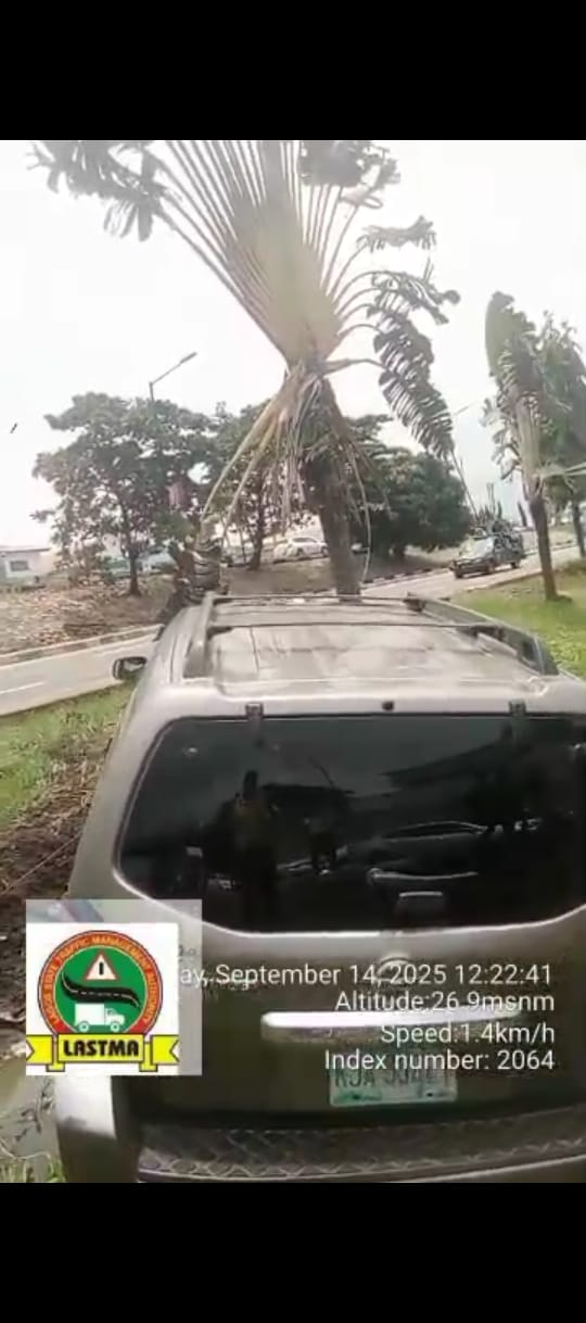 Pedestrian killed in hit-and-run accident on Lagos-Ibadan expressway