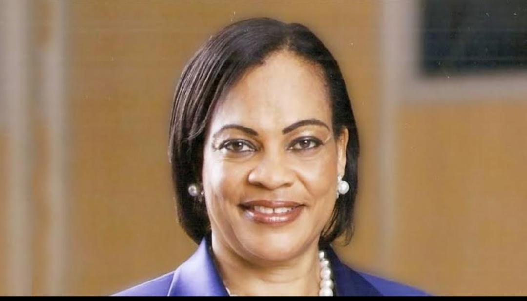 Ex-senator, PR expert, former VC endorse Peterside’s book on leadership
