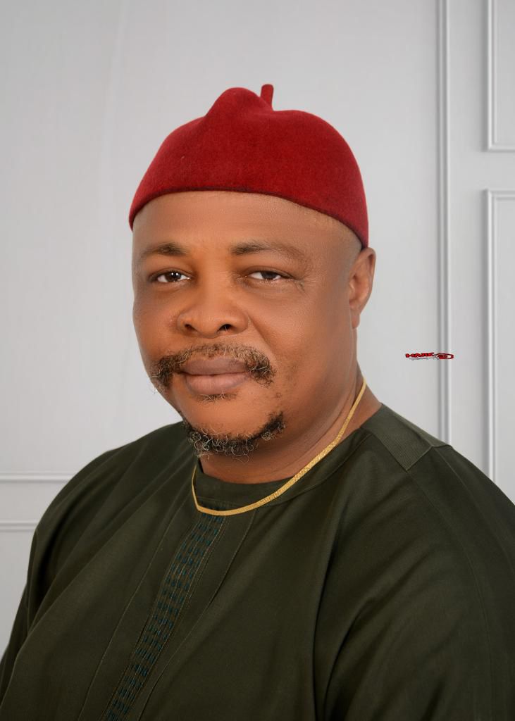 Court affirms Udeze’s position as Action Alliance National Chairman