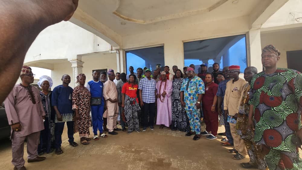 Ogun to conduct free lead tests amid poisoning claims