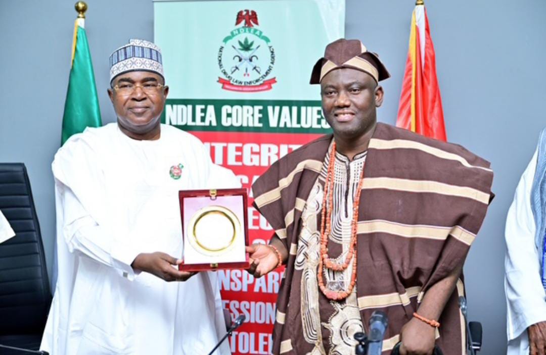 Why we need traditional rulers to join the crusade against substance abuse -Marwa