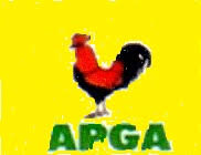 Abuja: APGA candidate concedes defeat in AMAC election