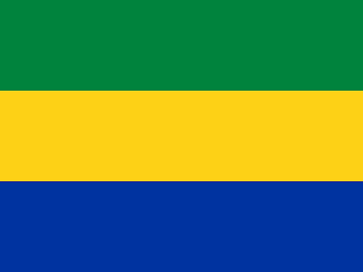 Gabon suspends social media indefinitely