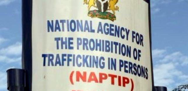 Report child abuse in daycare centres, NAPTIP urges public