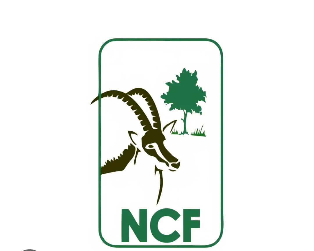 UNILORIN, NCF partner to drive campus-based environmental sustainability