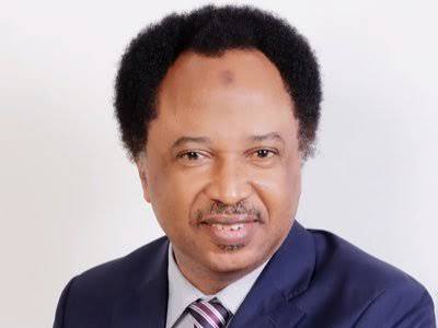 Kaduna deserves lawmakers you can be proud of — Shehu Sani